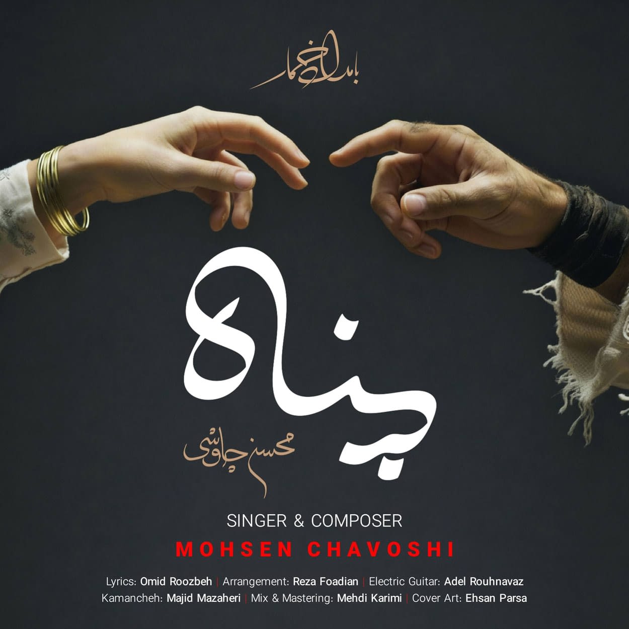 دانلود آهنگ پناه محسن چاوشی